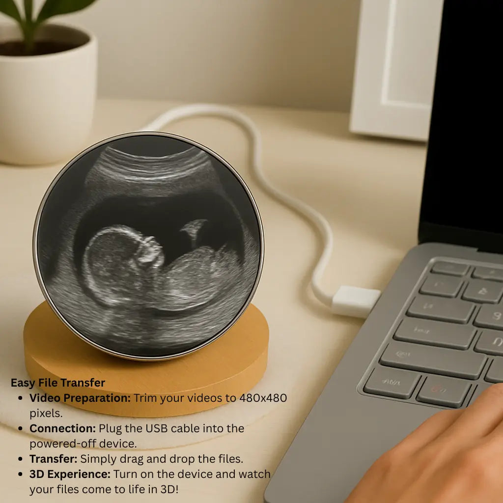 Infinite Memories Crystal Ball™ ZYVORA UK